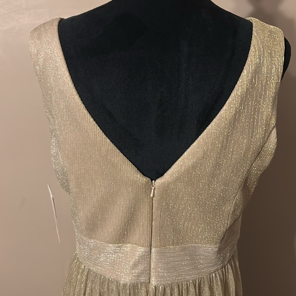 Broomstick glitter champagne dress - Picture 8 of 8